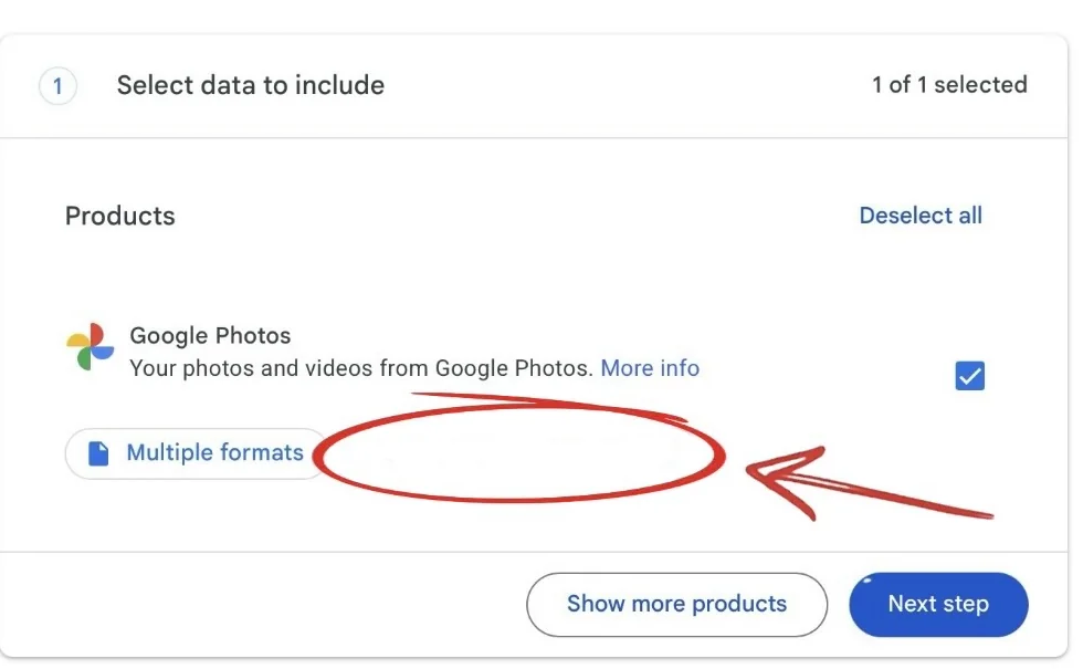 Google Takeout, step one: Select data to include. The Google Photos row is ticked, with a Multiple formats button beneath it. A red circle marks the empty space beside that button, where a second button has not loaded yet.
